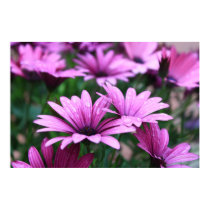 Bright Purple Flower Poster posters