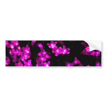 Bright Purple Flowers with White Centers Bumper Sticker