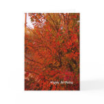 Bright Red Autumn Leaves Greeting Cards