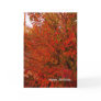 Bright Red Autumn Leaves Greeting Cards