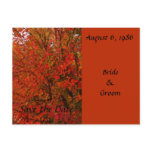 Bright Red Autumn Leaves Postcards