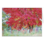 Bright Red Autumn Maple Leaves In The Meadow Greeting Card