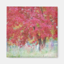 Bright Red Autumn Maple Leaves In The Meadow Fridge Magnet