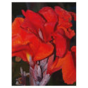 Bright Red Canna Lily flyers by rbb2676 Bright Red Canna Lily flyers