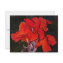 Bright Red Canna Lily invitations by rbb2676 Bright Red Canna Lily invitations