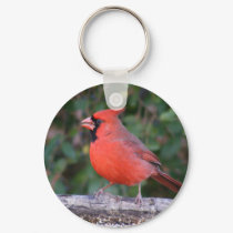 Bright Red Cardinal keychains