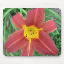 Bright Red Daylily Mousepad