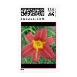 Bright Red Daylily Stamp