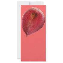 Bright Red 'Exotic Flamingo' Flower Custom Rack Cards