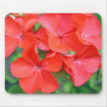 bright red flower mousepad mousepads