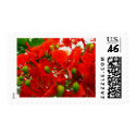 Bright Red Flowers postage