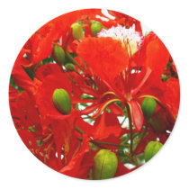 Bright Red Flowers stickers by AryadnaDesign Bright Red Flowers stickers