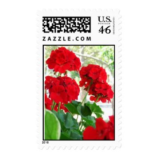 Bright Red Geraniums Postage Stamp RSVP Wedding stamp
