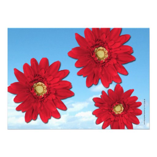 Bright Red Gerbera Daisies Summer Bridal Shower Invitation