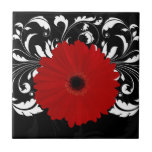 Bright Red Gerbera Daisy on Black tiles