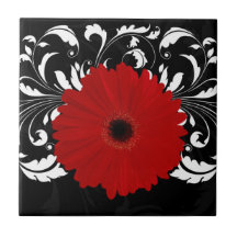 Bright Red Gerbera Daisy on Black Ceramic Tile
