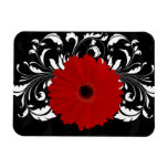 Bright Red Gerbera Daisy on Black Flexible Magnets