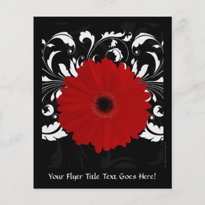 Bright Red Gerbera Daisy on Black Personalized Flyer