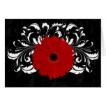 Bright Red Gerbera Daisy on Black Greeting Card