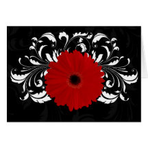 Bright Red Gerbera Daisy on Black Greeting Card