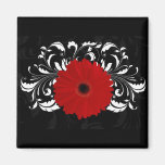 Bright Red Gerbera Daisy on Black Refrigerator Magnet