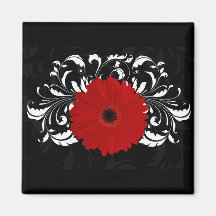 Bright Red Gerbera Daisy on Black Refrigerator Magnet