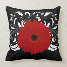 Bright Red Gerbera Daisy on Black Pillow