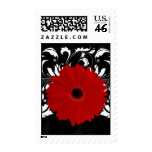 Bright Red Gerbera Daisy on Black stamps