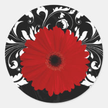 Bright Red Gerbera Daisy on Black Stickers