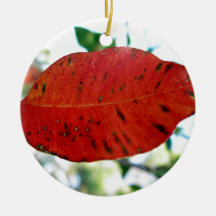 Bright Red Gum leaf Ornaments