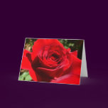 Bright Red Rose Card