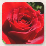 Bright Red Rose Cork Coaster Set