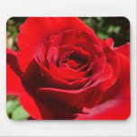 Bright Red Rose Mousepad