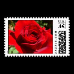 Bright Red Rose Stamp