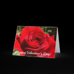 Bright Red Rose Valentine's Day Card