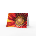 Bright Spark cards