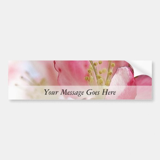 Bright Spring Apple Blossoms Bumper Sticker