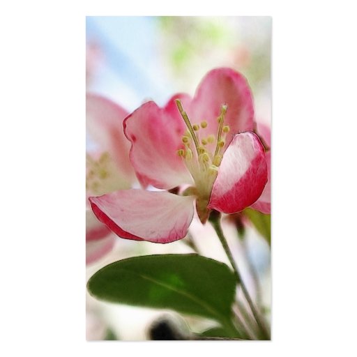 Bright Spring Apple Blossoms Business Card Templates (back side)