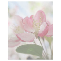 Bright Spring Apple Blossoms Personalized Letterhead