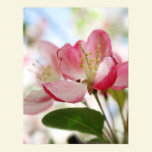 Bright Spring Apple Blossoms posters