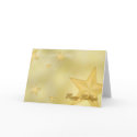 Bright Star Happy Holidays cards