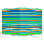 Bright Stripes 3 Ring Binders