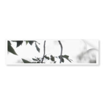 Bright Summer Branches Bumper Sticker