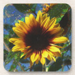 Bright Sunflower Cork Coasters