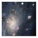 Bright Supernova in NGC 2403 12x12 (13x13) posters