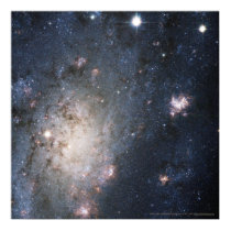 Bright Supernova in NGC 2403 12x12 (13x13) posters by meralee Bright Supernova in NGC 2403 12x12 (13x13) posters