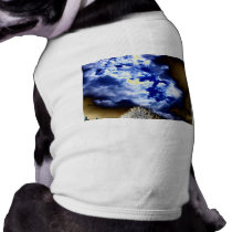 Bright Surreal Storm Front by KLM pet clothing by Kenny42077 Bright Surreal Storm Front by KLM pet clothing