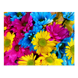 Bright Teal Hot Pink Yellow Daisies Flowers Gifts Postcard