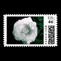 Bright White Peony Postage postage