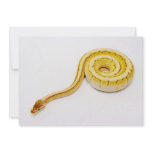 Bright Yellow Ball Python Invite